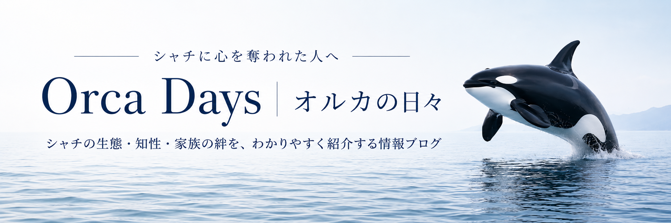 バナー:Orca Days(オルカの日々)ブログ